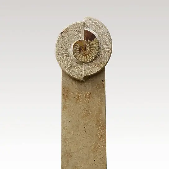 Amadeo – Doppelgrab Naturstein mit Fossilien Ornament vom Steinmetz