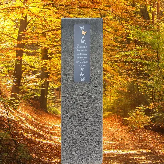 Celenta Lepi – Granit Doppelgrabstein mit Bronze Schrifttafel & Schmetterling