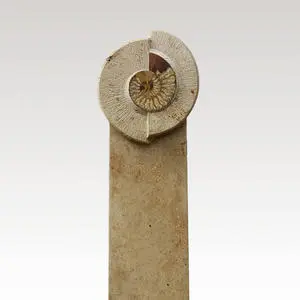 Amadeo Origineller Urnengrabstein aus Kalkstein mit Fossil online
