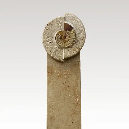 Amadeo – Schönes Grabmal für Einzelgrab stehend mit Ammonit günstig