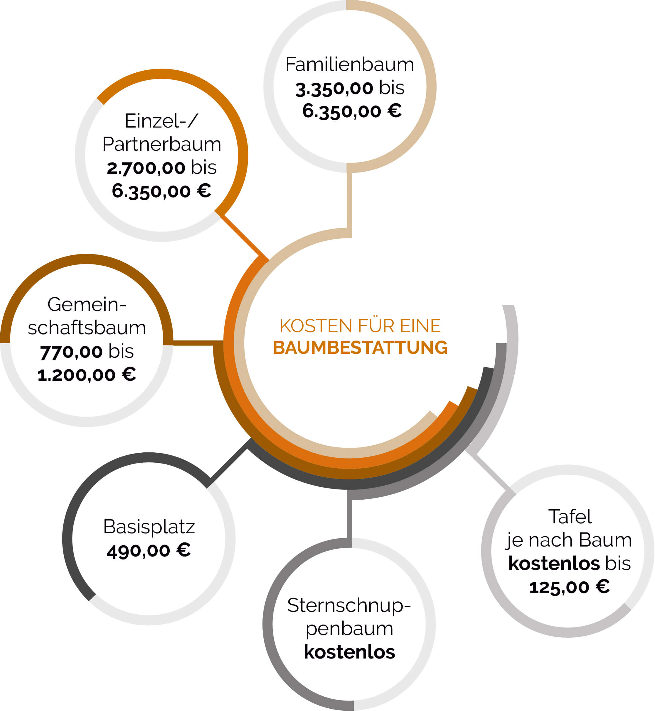 Kostenübersicht für Baumbestattungen