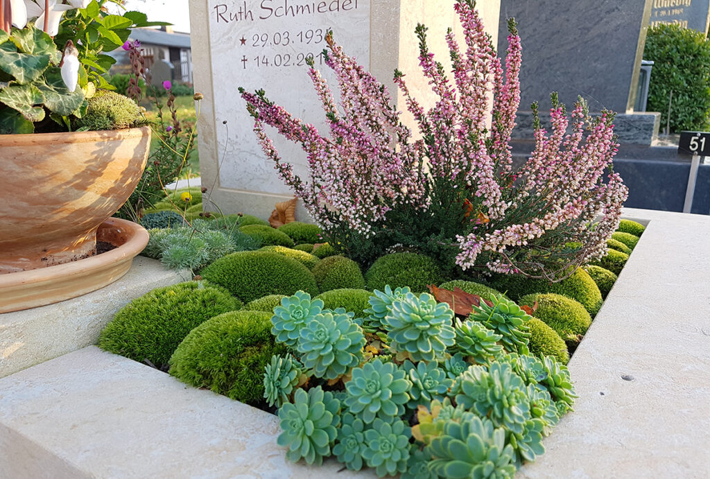 Friedhofsblumen Pflanzen Fruhling Sommer Herbst Winter