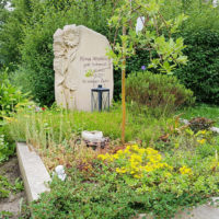 Grabgestaltung modern Sommer Bodendecker Grabpflanzen Sonnenblume Grabstein Steinmetz Hochheim Erfurt Friedhof