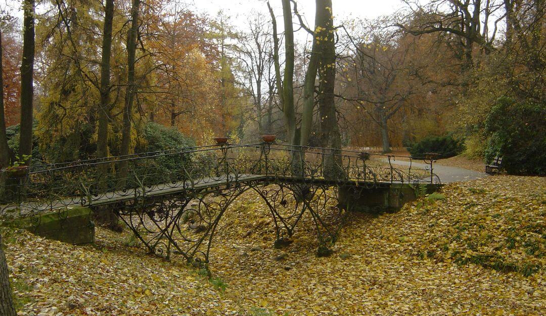 Ein Waldfriedhof zeichnet sich durch seine Naturbelassenheit aus. | Bildquelle: ©Stilvolle Grabsteine