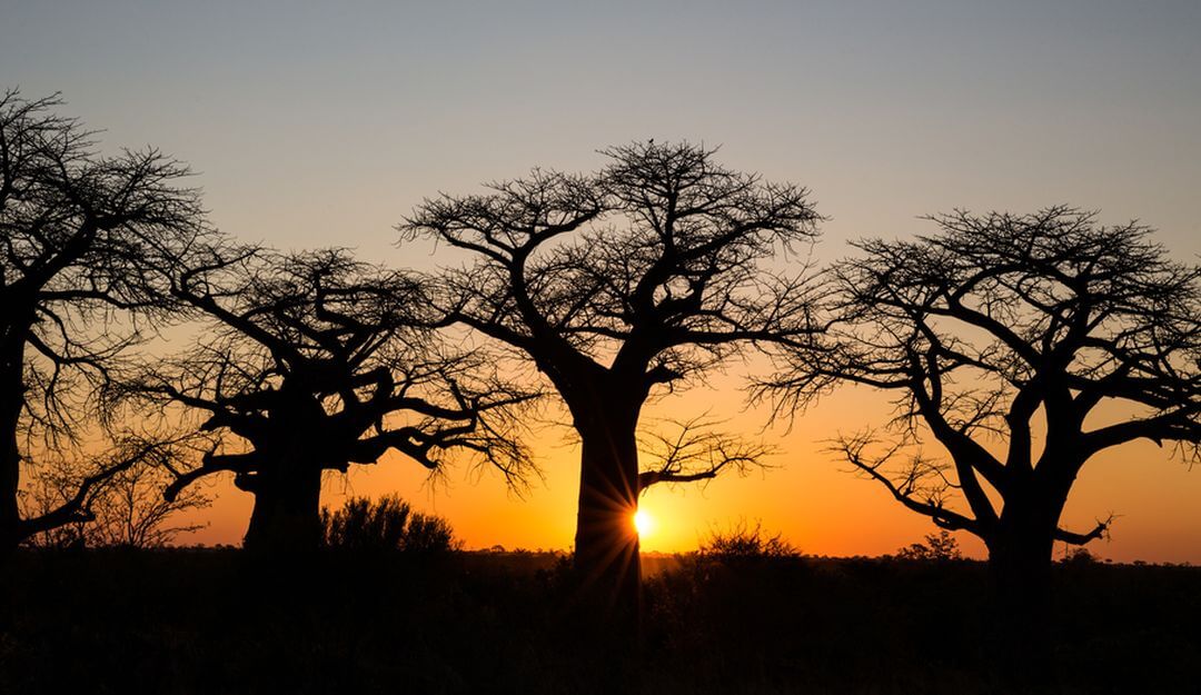 Die Menschen in Afrika glauben daran, dass sie nach dem Tod wiedergeboren werden. | Bildquelle: © Reto - Fotolia