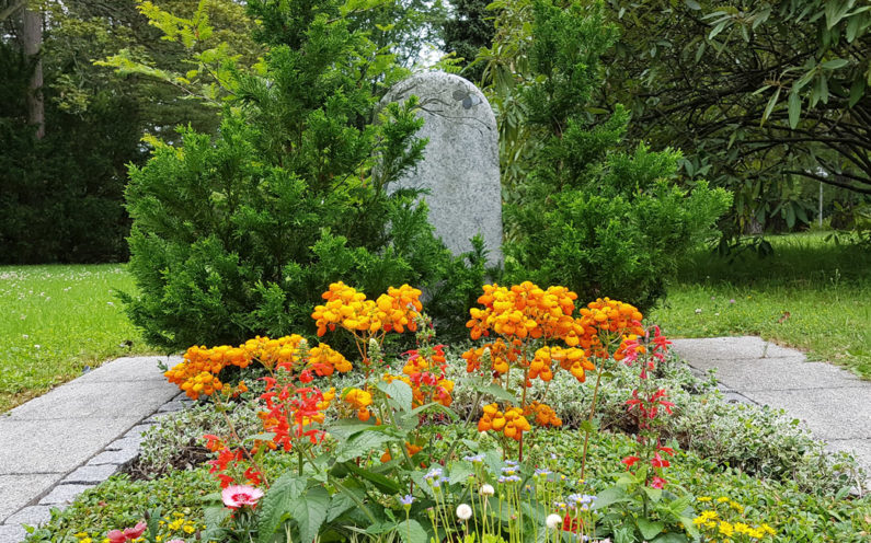 Erfurt Hauptfriedhof Mustergrabstein heller Granit mit Baum - 1