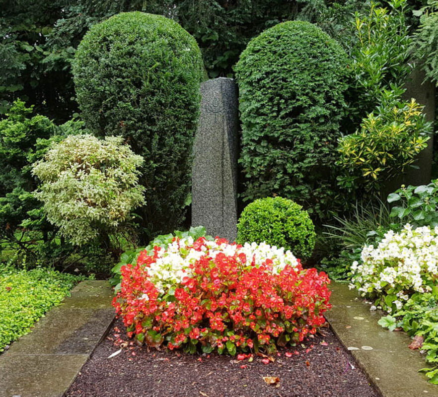 Grabstein für ein Einzelgrab - Moderne Grabbepflanzung im Sommer mit Hecken und Blumen