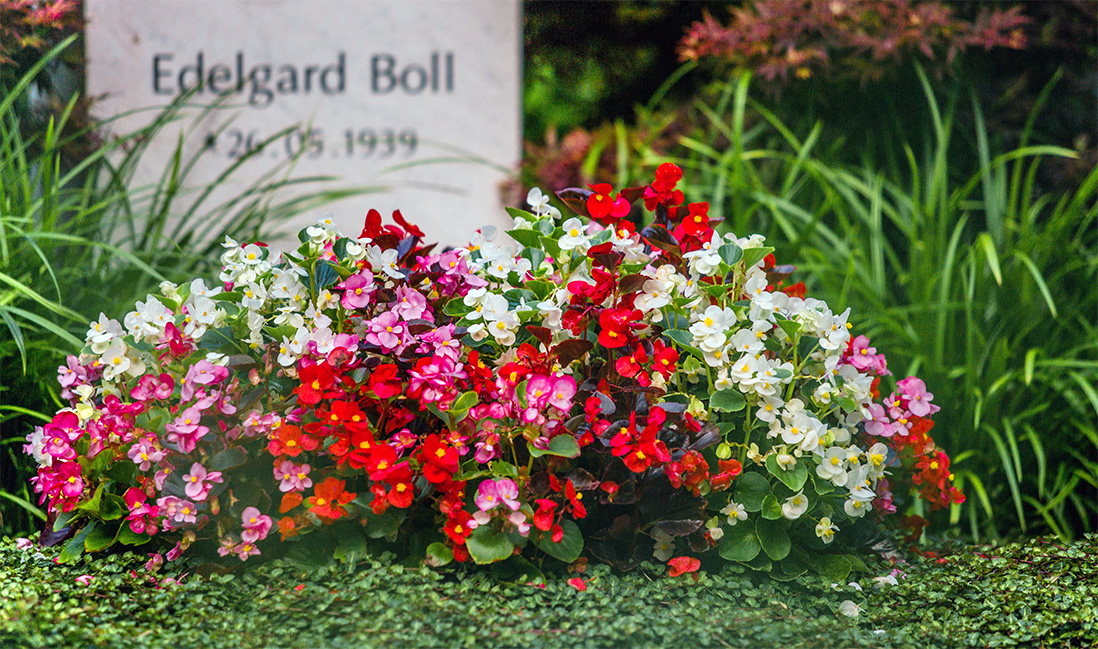 Sommerliche Grabgestaltung mit vielen Blumen und Bodendeckern.