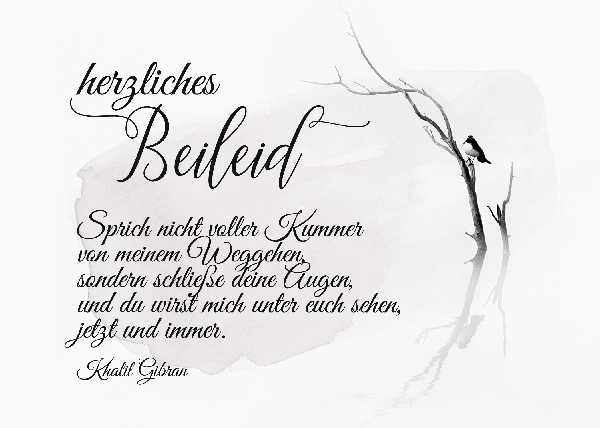 Beileidskarte mit Spruch / Zitat zum Versenden - Aufrichtige Anteilnahme und Beileid verkünden