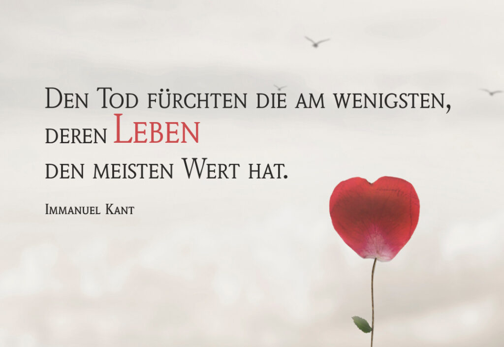 Trauerkarte mit Blume und einen Beileidsspruch von Immanuel Kant