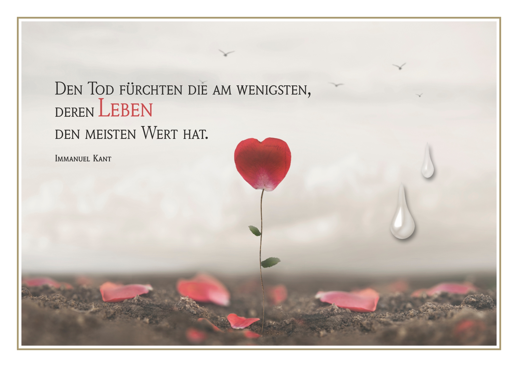 Schöne Trauerkarte mit Spruch von Immanuel Kant