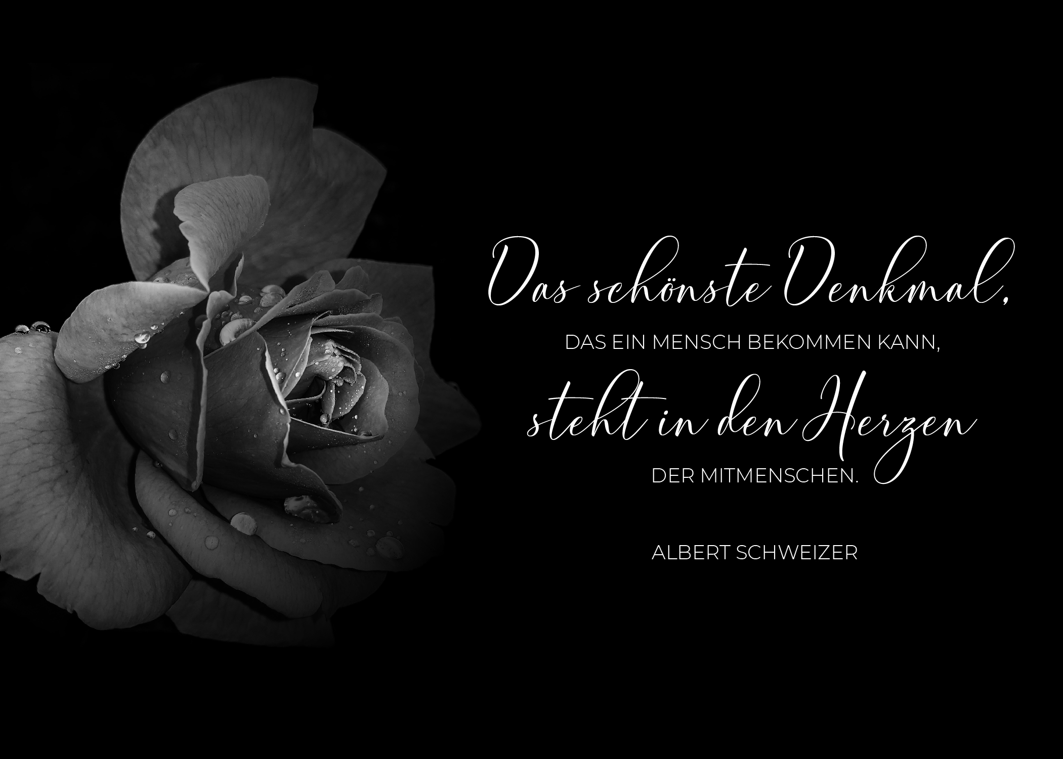 Liebevolle Trauerkarte oder Beileidskarte mit Spruch von Albert Schweizer