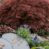 Eine kleine steinerne Vogeltränke ergänzt das Ensemble. Die Bepflanzung wirkt wie ein lebendiger Garten