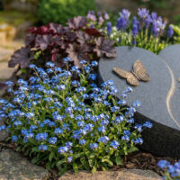 Die Gestaltung bricht mit klassischen Strukturen: Anstelle einer festen Einfassung ist das Grab von unregelmäßigen Natursteinplatten umgeben  die fließende Übergänge zur Umgebung schaffen.