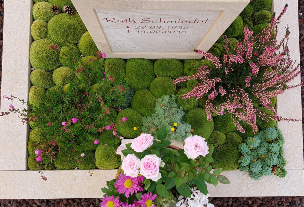 Die lebendige Bepflanzung: Die Grabfläche ist mit einer sattgrünen Moosschicht bedeckt  die eine weiche  hügelige Struktur bildet. Ergänzt wird dies durch jahreszeitliche Akzente wie rosa blühendes Heidekraut und Sukkulente