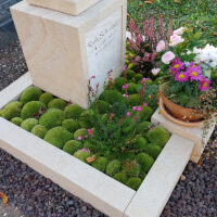 Polstermoos und Sukkulenten bilden eine lebendige  grüne Basis.  Rosa Heidekraut setzt einen farblichen Akzent direkt vor dem Stein.  Eine zusätzliche Schale mit weißen Alpenveilchen ergänzt das Arrangement.