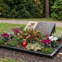 Allerheiligen Liegestein KI Kleines Urnengrab mit einem Liegestein in Form eines Pultes aus poliertem schwarzen Granit mit einer Bronzetafel auf der eine Rose abgebildet ist. Das Grab ist mit Granitborten eingefasst und schön zu Allerheiligen mit Skimmie Alpenveilchen und Heidekraut bepflanzt